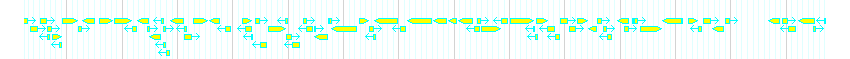 Genes detail