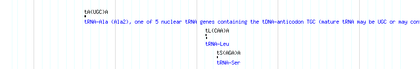 tRNAs detail