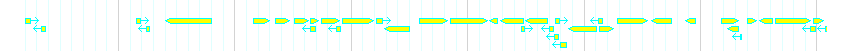 Genes detail