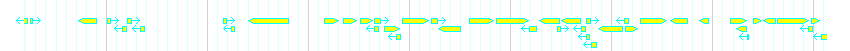 Genes detail