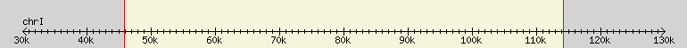 __scale__ region