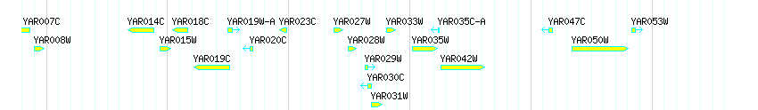 Genes detail