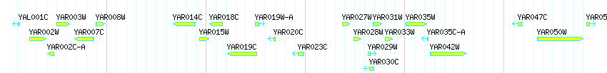 Genes detail
