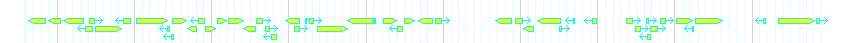 Genes detail