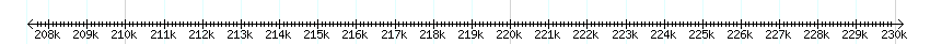 __scale__ detail