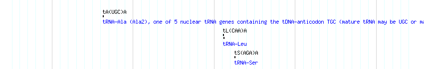 tRNAs detail