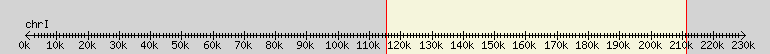 __scale__ overview