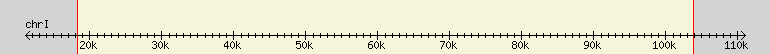 __scale__ region