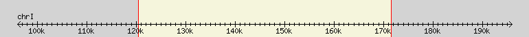 __scale__ region