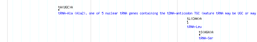 tRNAs detail