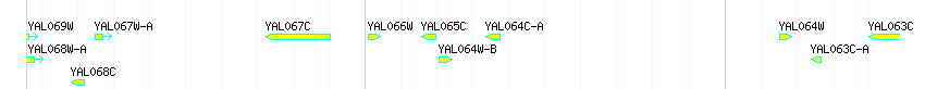Genes detail