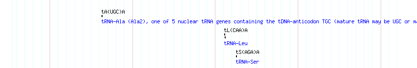 tRNAs detail
