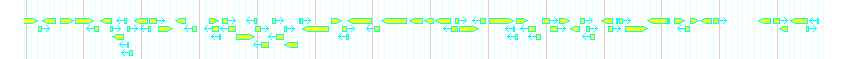 Genes detail