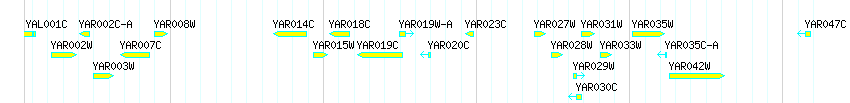 Genes detail