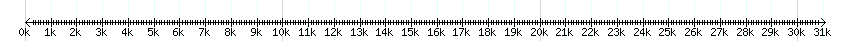 __scale__ detail