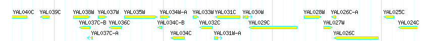 Genes detail