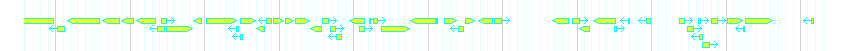 Genes detail