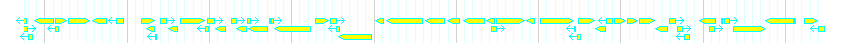 Genes detail