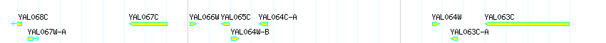 Genes detail