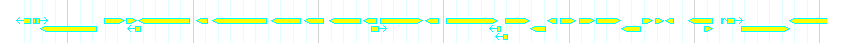 Genes detail