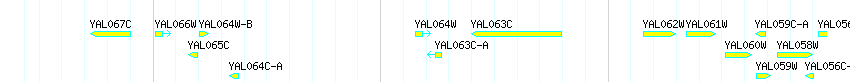 Genes detail