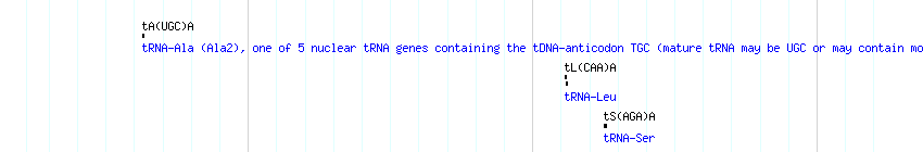 tRNAs detail
