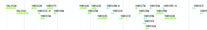 Genes detail