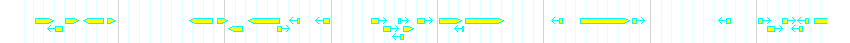 Genes detail