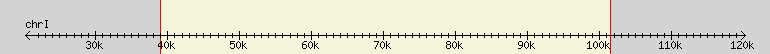 __scale__ region