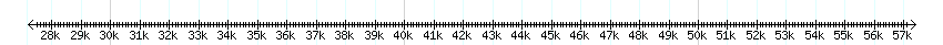 __scale__ detail