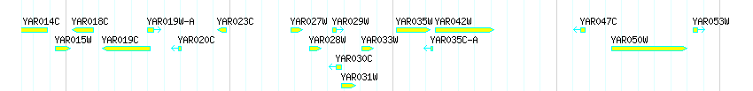 Genes detail