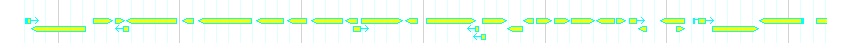 Genes detail