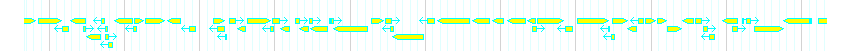 Genes detail