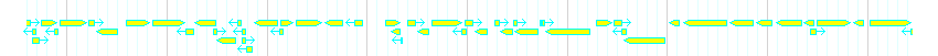 Genes detail