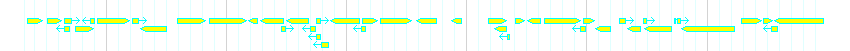 Genes detail