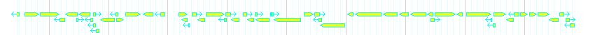 Genes detail