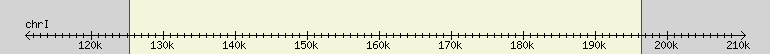 __scale__ region
