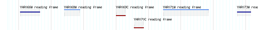 CDS detail