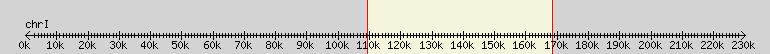 __scale__ overview