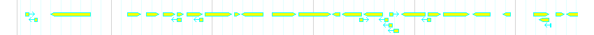 Genes detail