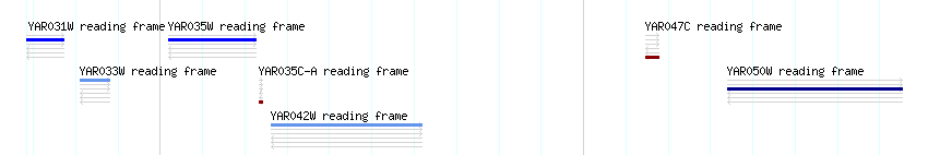 CDS detail