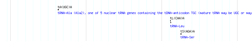 tRNAs detail