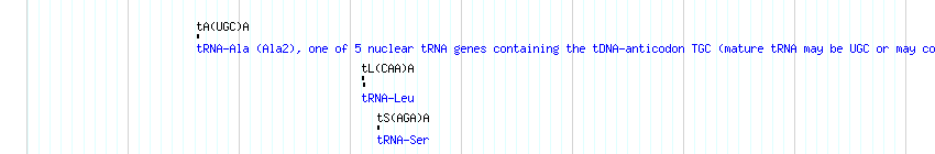 tRNAs detail