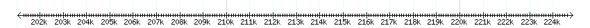 __scale__ detail