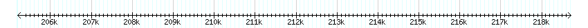 __scale__ detail
