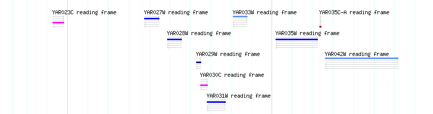 CDS detail