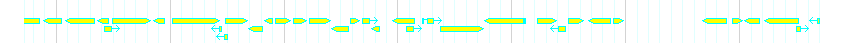 Genes detail