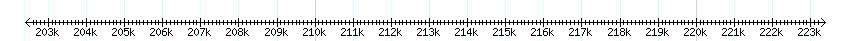 __scale__ detail