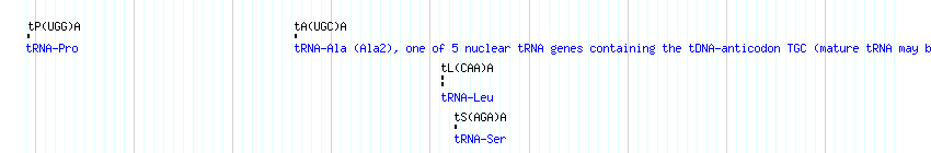 tRNAs detail