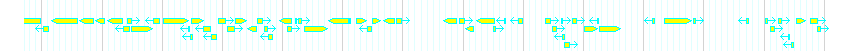 Genes detail